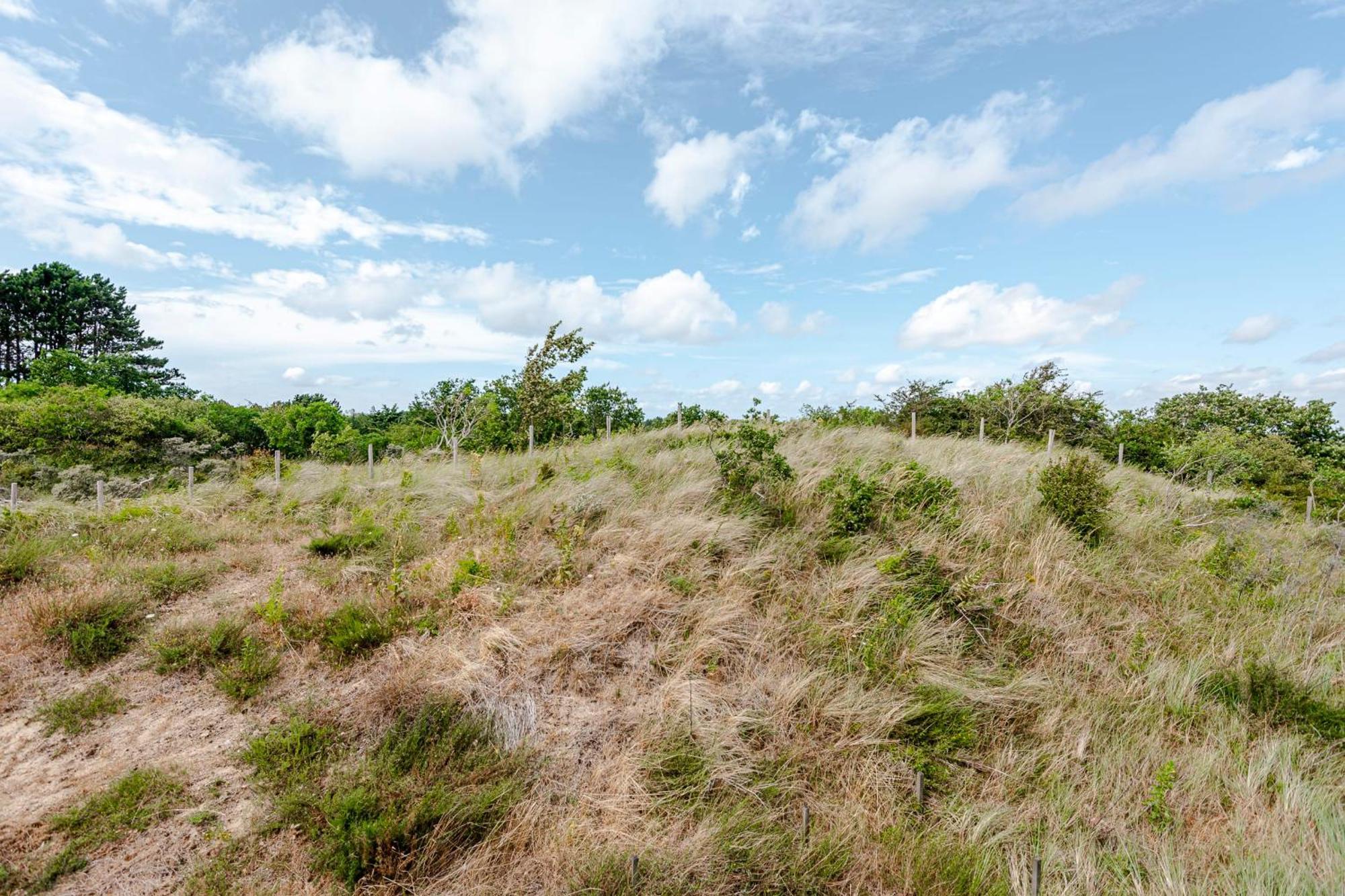 Dune Villa 7 ซานด์โวร์ต ภายนอก รูปภาพ